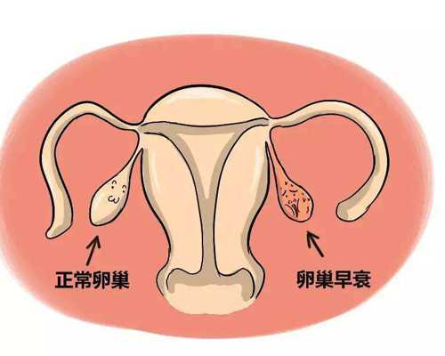 安徽做试管供卵流程,安徽省立有供卵吗
