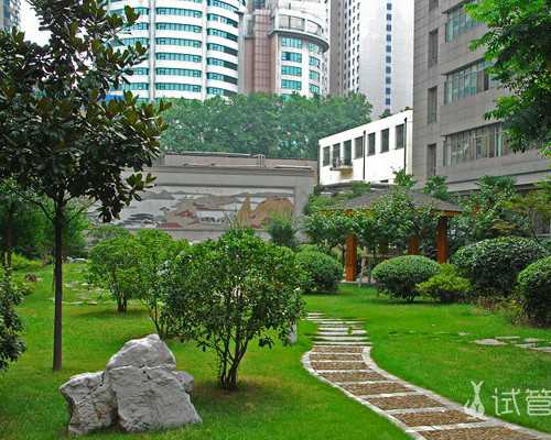 美国试管婴儿违法吗？