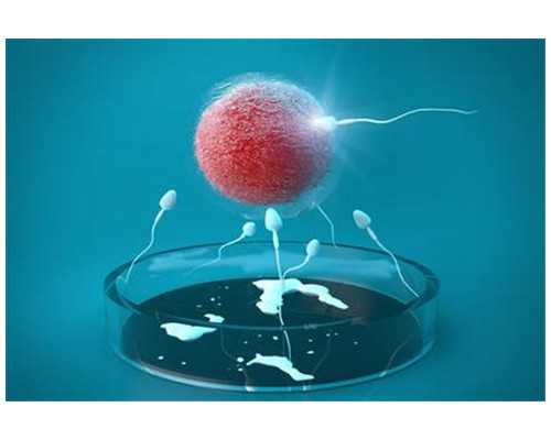 深圳诗悦供卵试管中心,三代试管过程步骤中，为什么需要降调？-孕妇梦见一群