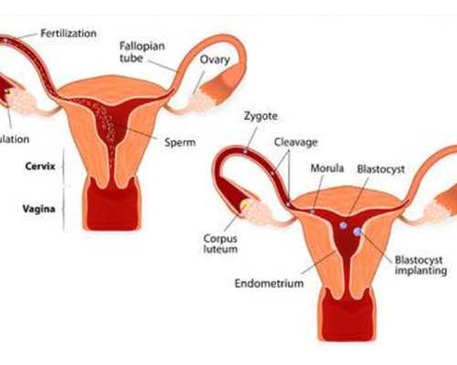 安徽代生包出生-浙江试管代生动态