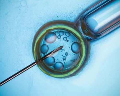 拮抗剂方案当月移植鲜胚成功率高吗？