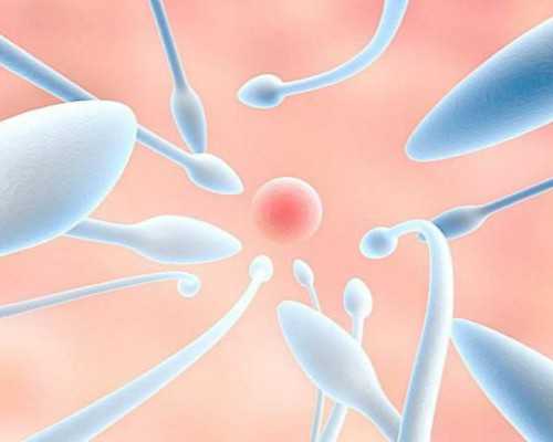 中国靠谱的代生机构_上思代孕选男女_杭州哪个私立医院做供卵试管 2026杭州邵