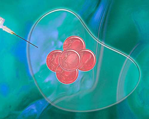 试管建档流程，做试管婴儿怀孕建档方法*助孕代怀男孩