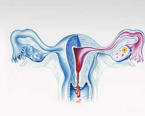 怀孕初期能不能吃话梅*助孕中介