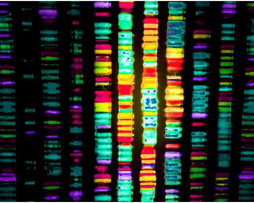 什么是供卵_三代试管包生男,做美国试管婴儿能避免疤痕妊娠吗？-去泰国做供卵
