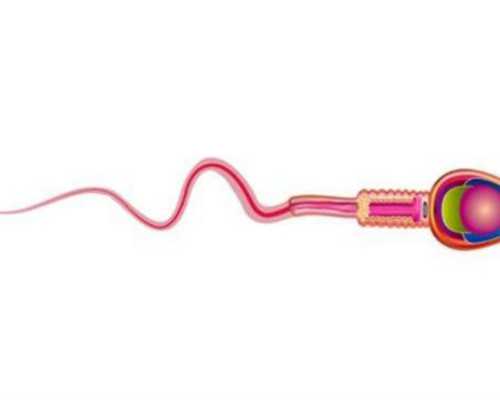 国内最好的试管婴儿医院排行榜中排名第一的是哪家？