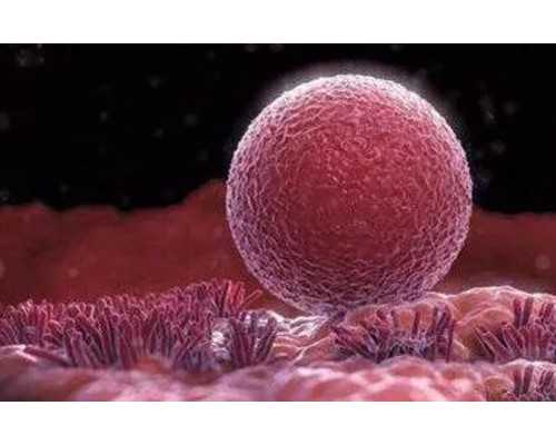 做试管婴儿的费用可以用医保吗？有的话，有那些？怎样申请？