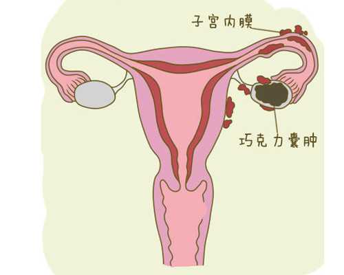 坐月子可以吃莲藕排骨汤吗*借卵代怀