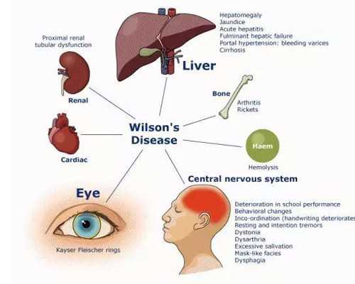 安徽哪个医院做试管婴儿成功率高,安徽做供精人受成功率高吗,安徽哪个医院做