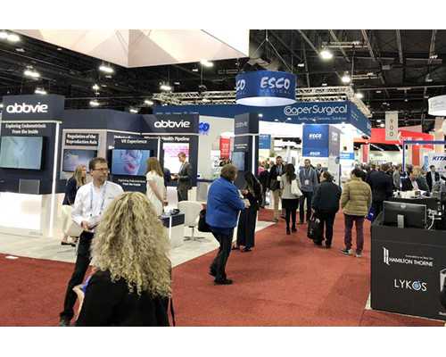 安徽高端供卵试管网官网,安徽宁国试管婴儿容易成功吗