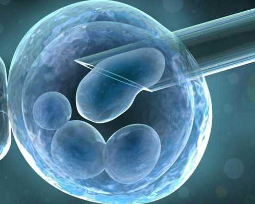 52岁借卵生子_三代试管包男孩_海南供卵试管产子攻略 2026海南双角子宫试管七大