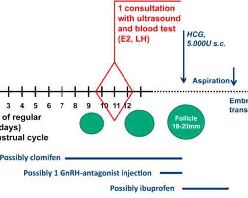 试管婴儿移植黄体酮针要打多久