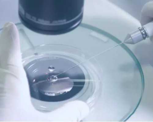 泰国试管婴儿论坛贴吧,都有哪些类型?