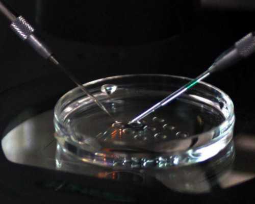 安徽供卵做几代试管婴儿,合肥供卵试管费用多少，2026安徽供卵试管费用预估