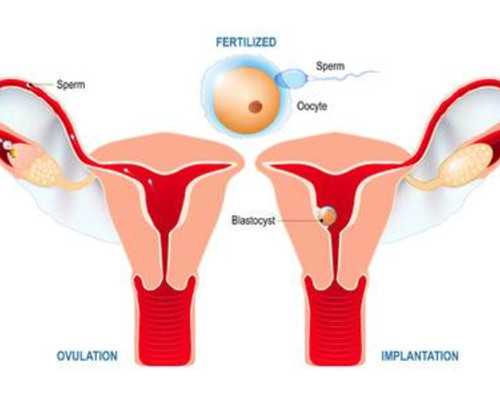 安徽代生孩子人-浙江代生及费用