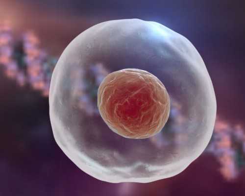 2026合法代孕_365助孕网_杭州去哪里代怀 杭州私立供卵试管婴儿医院排名，附供