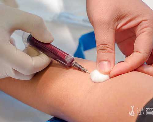 365助孕中心_365助孕计划_青岛哪个供卵试管网好 2026青岛最好生殖医院排名出炉