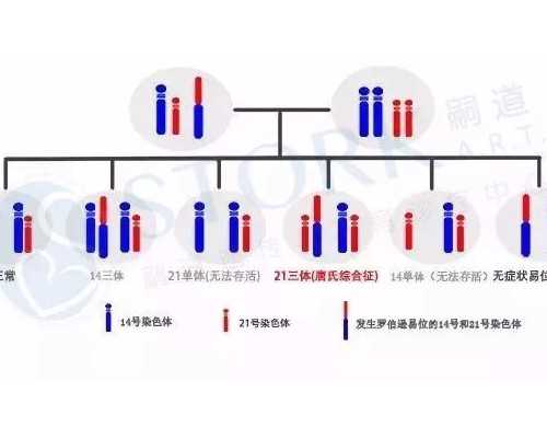 专业代怀网_AA69地址_云南供卵试管公司地址 2026云南省第一人民医院试管婴儿收