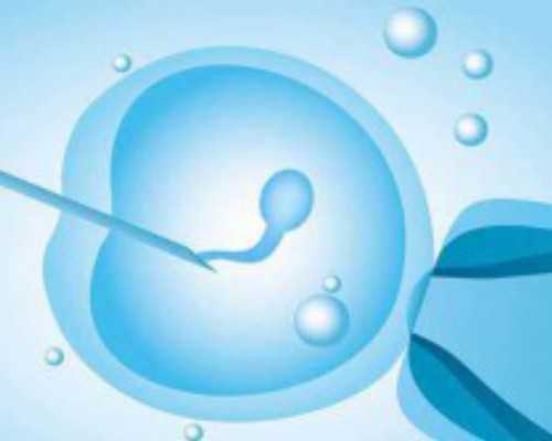 试管移植后胎停的原因_试管移植怎样防止胎停？