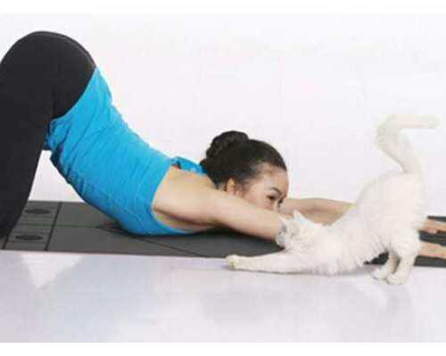 深圳如何接受供卵试管,试管婴儿成功的关键在男方还是女方？_做试管后能吃冰