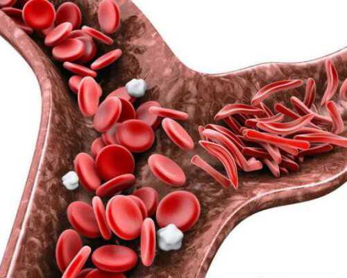 怀孕后，胎儿的性别什么时候可以形成呢？