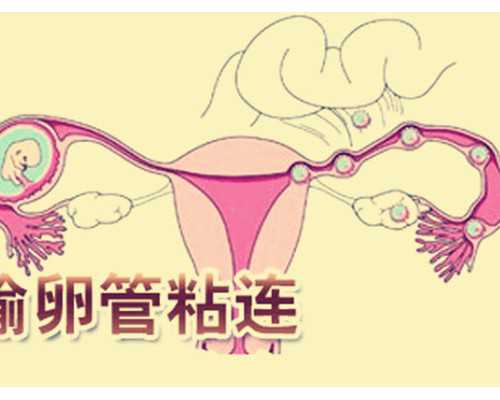 365助孕靠谱吗_三代试管能转一代吗,北京私立供卵试管医院排名-上海供卵试管医