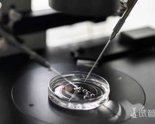 XpO7H_试管失败后,面对巨大心理落差,运筹帷幄很关键!