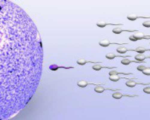 捐卵供卵_生殖公立医院哪家_结扎后能做试管婴儿吗