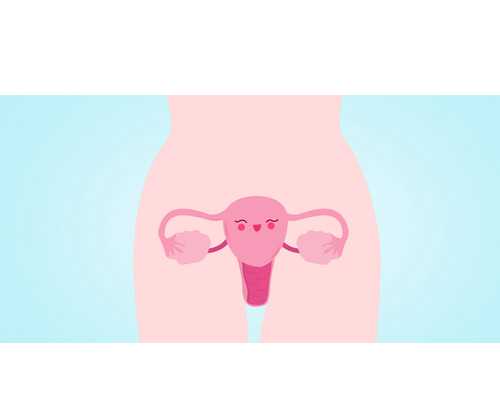 三代试管决定男_三代试管算孕周,山大生殖试管婴儿建档流程-试管自然周期移植