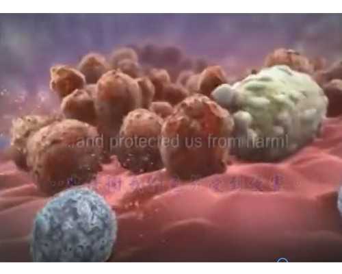 40岁三代试管_44章一份代孕合同_台湾试管 费用 在台湾做供卵试管详细流程是怎