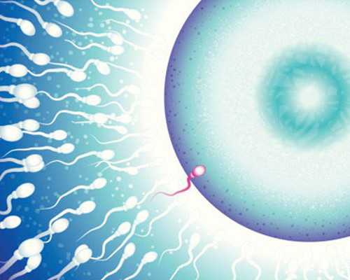 代怀qq群有吗_aa69套餐,北京家恩德运供卵费用（北京家恩德运医院供卵试管）