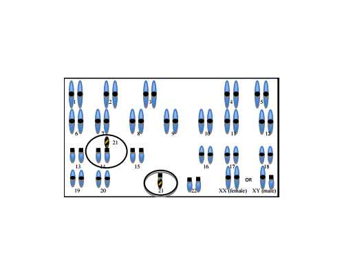 安徽供卵试管贵不贵多少钱,供卵安徽医科大学第一附院（安徽医科大学第五附