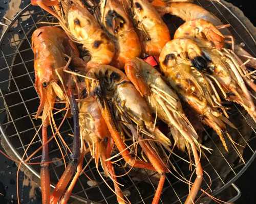 代怀代生男宝宝_50岁借卵子生子后,「第三代试管是什么意思?」怎么做才能避免