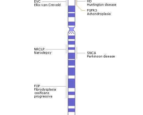 安徽代生哪家好-浙江代生哪里好