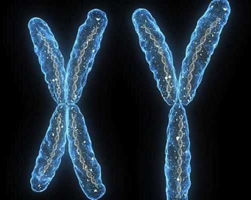 安徽借卵地址,2026安徽做借卵试管选性别代怀医院排名？附详细介绍？