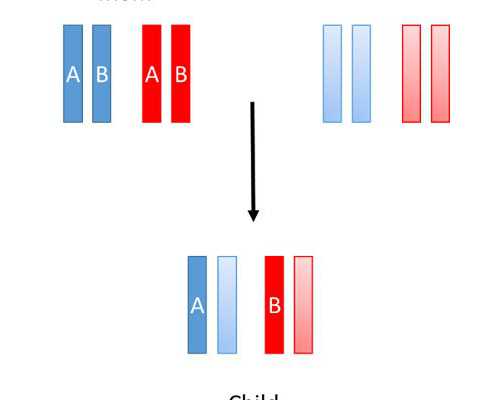 睾丸穿刺试管婴儿？