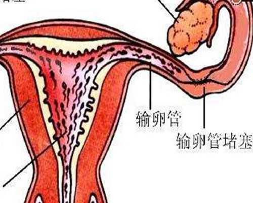 安徽供卵中介公司有哪些,合肥供卵试管婴儿费用多少，2026安徽供卵试管婴儿费