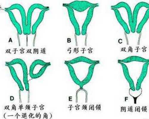 科大学附属第二试管婴儿成功率多少