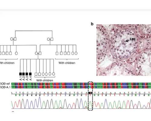 代生孩子包成功_代生子包男孩价格_美国试管婴儿取卵疼吗？