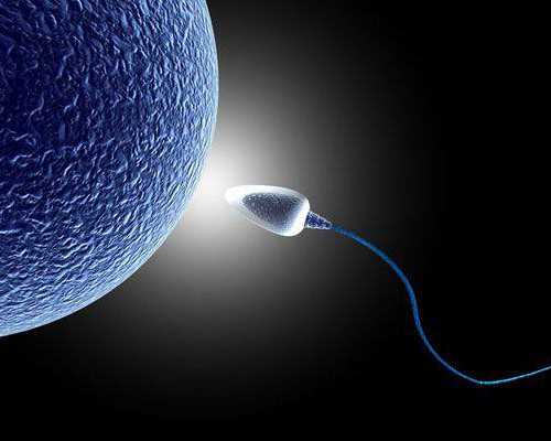 喜宝供卵生殖中心,试管怀孕着床出血是什么颜色？做试管着床有哪些特征？-试