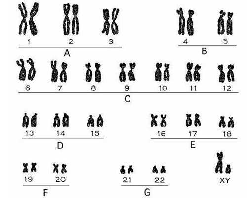 同济生殖中心_市爱心助孕医院_去美国做试管婴儿还需顾虑宝宝的健康问题吗？
