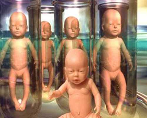 锦江妇幼供卵,香港验血查性别报告单准不准,6周和7周有什么区别-试管移植后可