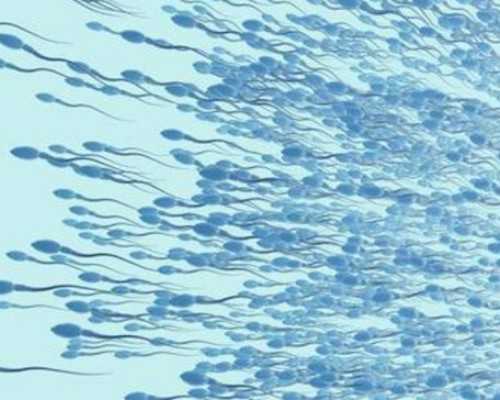 安徽找供卵试管生小孩的机构,安徽做试管婴儿-安徽试管婴儿助孕