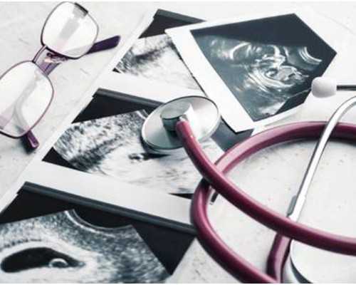 小孩子喜欢动物玩具什么性格(小孩子喜欢动物玩具什么性格好)