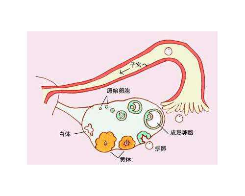 安徽恩鼎国际试管是正规的吗,安徽第三代试管成功率高吗？