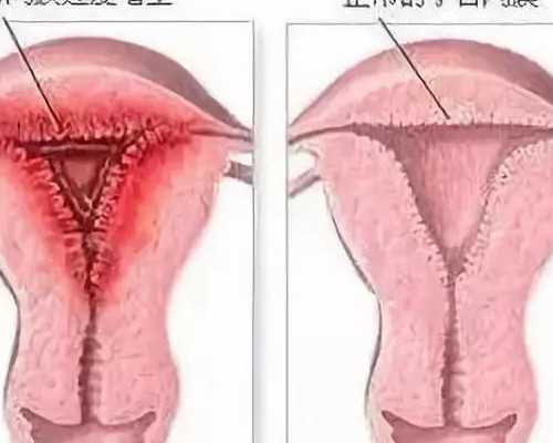 做供卵试管被骗的多吗,试管机构的工作人员卵妹是什么意思？有谁知道的？_地