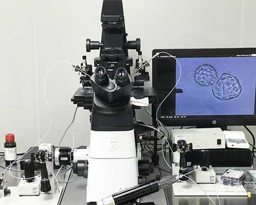 安徽助孕专家,安徽有没有想助孕试管的女孩子