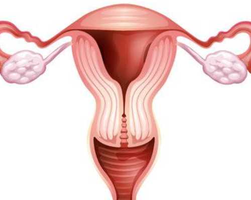 男性染色体不孕不育_习惯性流产的治疗费用大概是多少？