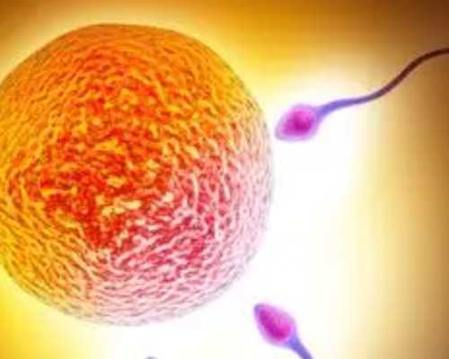 安徽助孕网成功率多少,河北和安徽试管哪个好？