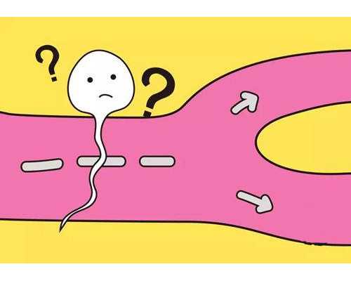 男性不孕不育哪家医院好_借卵生子的风险_多次做试管会不会影响身体健康？多